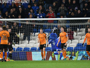 Supporting image for story: Cardiff 2 Wolves 1 - player ratings