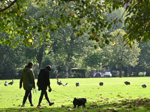 Supporting image for story: Residents invited to join in special health walkers in Wolverhampton 