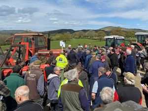 Supporting image for story: Farming brothers set for retirement as dispersal sale on Shropshire border attracts huge crowd 