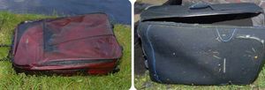 The dismembered body was put in these two suitcases and thrown into a canal