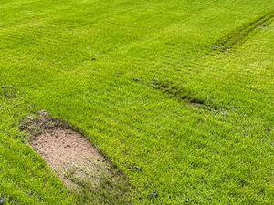 Supporting image for story: AFC Telford v Solihull friendly moved due to pitch damage