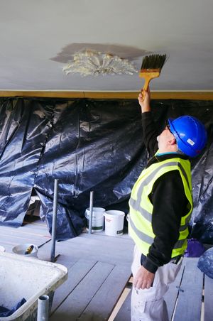 Painter Rob Lime washing the East Colonnade