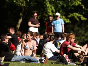 Supporting image for story: Wales sees sunniest spring on record