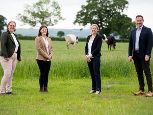 Supporting image for story: Lawyers head to Shropshire shows to help farmers
