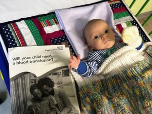 Supporting image for story: Blood matching test to be offered to patients with rare conditions