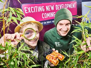 Supporting image for story: Hunt on for young discoverers ahead of zoo's major unveiling