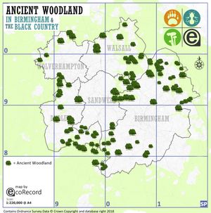 A map of all the ancient woodlands in the Black Country (credit EcoRecord)