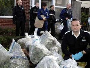 Supporting image for story: Police plea to report possible drug dens