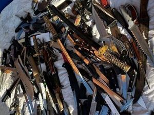 Supporting image for story: Sign the Ronan's Law petition here to help end the sale of machetes and zombie knives online