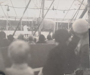 Sangers circus in Brigdnorth in 1937