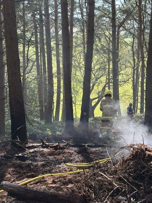 Firefighters battle a blaze in a woodland in Shropshire. Picture: SRFS.