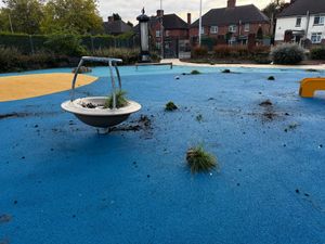 The vandals ripped plants, flowers and shrubs from the ground, before tossing them over the play area