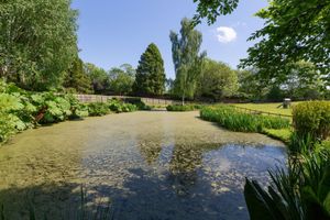 The lake at Stoke Park in Stoke on Tern. The property boasts just under nine acres of land. Picture: Rightmove/Savills.