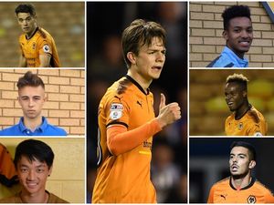 Supporting image for story: In profile: Wolves' foreign under-23 starlets
