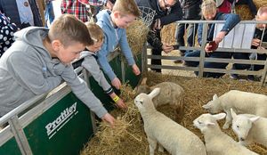 Supporting image for story