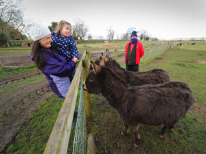 Supporting image for story: Shropshire tourist attractions in rallying call to get visitors back