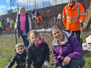 Supporting image for story: Volunteers come together to create a 'Tiny Forest' and plant 600 