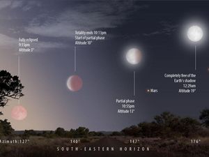 Supporting image for story