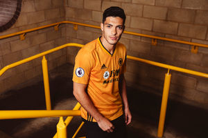 Raul Jimenez (pic courtesy of Wolves)