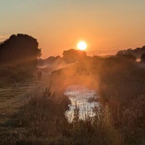 Summer Solstice Sunrise at Soutlon Long barrow