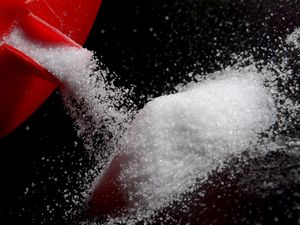 Supporting image for story: Salt warnings on restaurant menus can encourage healthier choices, study finds