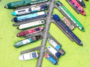 Duck Weed at Stourport Basin on the Staffordshire and Worcestershire Canal.