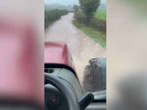 Supporting image for story: Loaves and fish (fingers): 'Miracle' farmer drove through floods to feed hungry church school kids