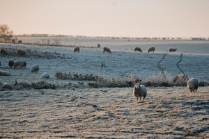 Temperatures will go below freezing across the county