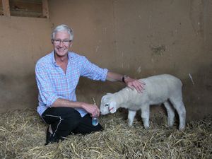 Supporting image for story: Tributes pour in from Black Country animal rescue centres for 'legendary' Paul O'Grady