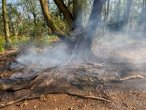 The fire at The Ercall. Photo: Manel Roura