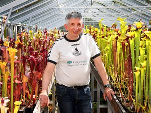 Supporting image for story: 'I grow carnivorous plants in my Telford nursery - it's a rewarding hobby for life and you could do it too!'