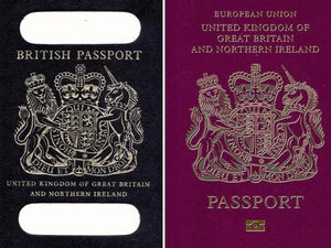 Supporting image for story: Peter Rhodes: 'All hail the new blue passport, the symbol of the UK finally divorcing the EU'
