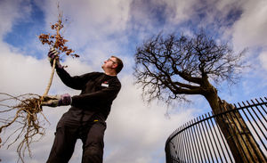 Oak tree planting at Boscobel House Shropshire. Picture by Jim Holden