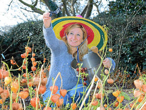 Supporting image for story: Hot stuff as Shropshire venue to host chilli festival