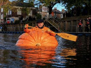 Supporting image for story: 13 people who really did Halloween right this year
