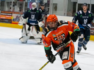 Supporting image for story: Telford Tigers’ Sam Watkins out due to heart op