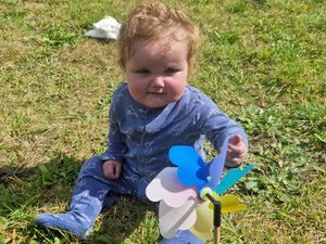 Ollie's heart condition is life-limiting without surgery