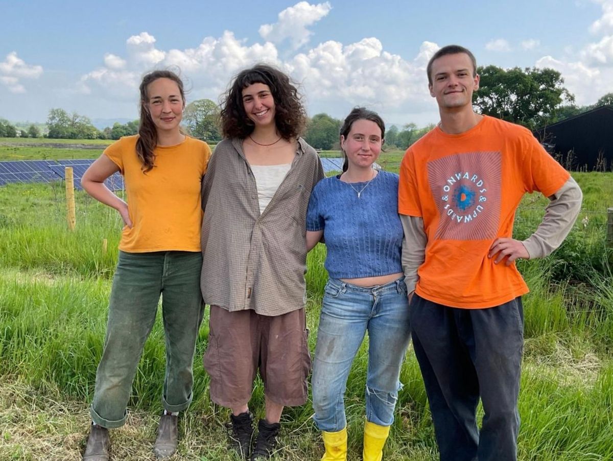 Plans for five polytunnels for fruit and veg growing near Newtown are given the go ahead Plans for five polytunnels for fruit and veg growing near Newtown are given the go ahead