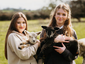 Supporting image for story: Twin lambs shock Wem family after one is born black and the other white