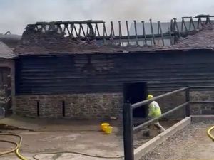 Supporting image for story: Pigs and piglets saved as fire crews battle Church Stretton barn blaze