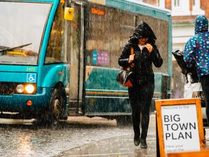 Supporting image for story: Storm  Aileen: Fallen trees in Shropshire as wind batters UK
