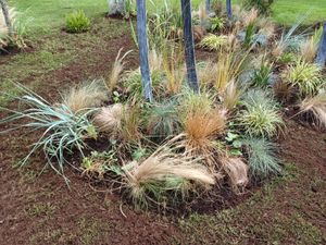 The ground is maintained by the Allied Special Forces Memorial Grove