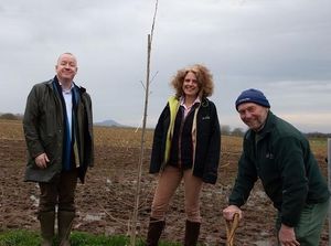 Supporting image for story: Rare trees planted at Shropshire university's Future Farm 