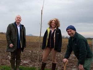 Supporting image for story: Rare trees planted at Shropshire university's Future Farm 