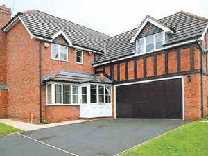 Supporting image for story: Properties of the Week