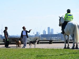 Supporting image for story