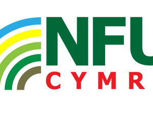 Supporting image for story: Farming lobby in London in response to budget plans which  will have a devastating impact on Welsh family farms.