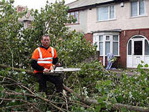 Supporting image for story: Tree crashes onto house