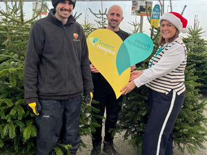 Supporting image for story: Severn Hospice to benefit from every Christmas tree sold by Love Plants