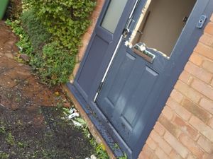 Supporting image for story: £40,000 cannabis factory found after burglary investigation 